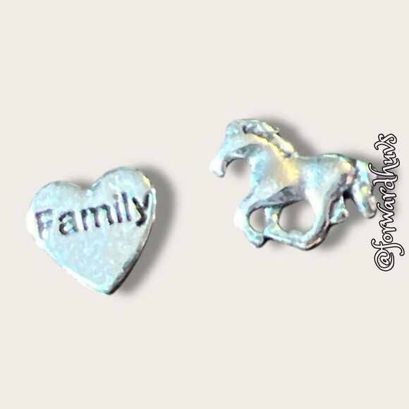 Bundle Sale 3 for $15 | C2 Marked Floating Locket Charms - Picture 1 of 8